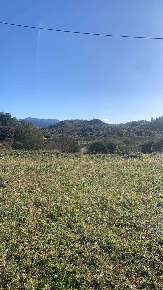 Grunde uden byggetilladelser til salg i Asco - € 25.000 (Ref: 8743853)