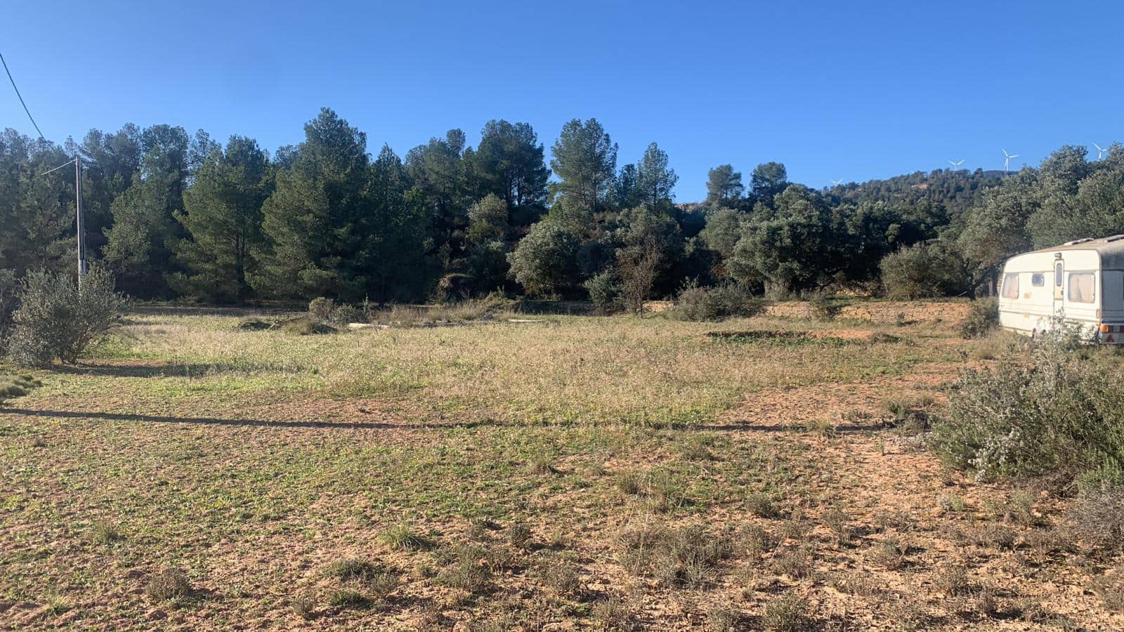 Grunde uden byggetilladelser til salg i Asco - € 25.000 (Ref: 8743853)