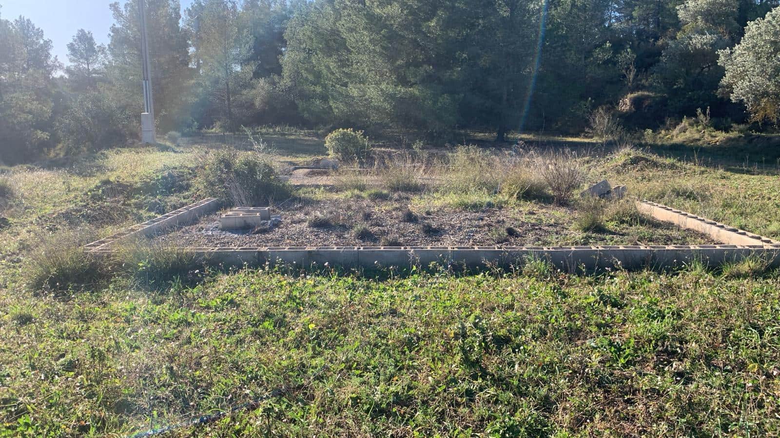 Grunde uden byggetilladelser til salg i Asco - € 25.000 (Ref: 8743853)