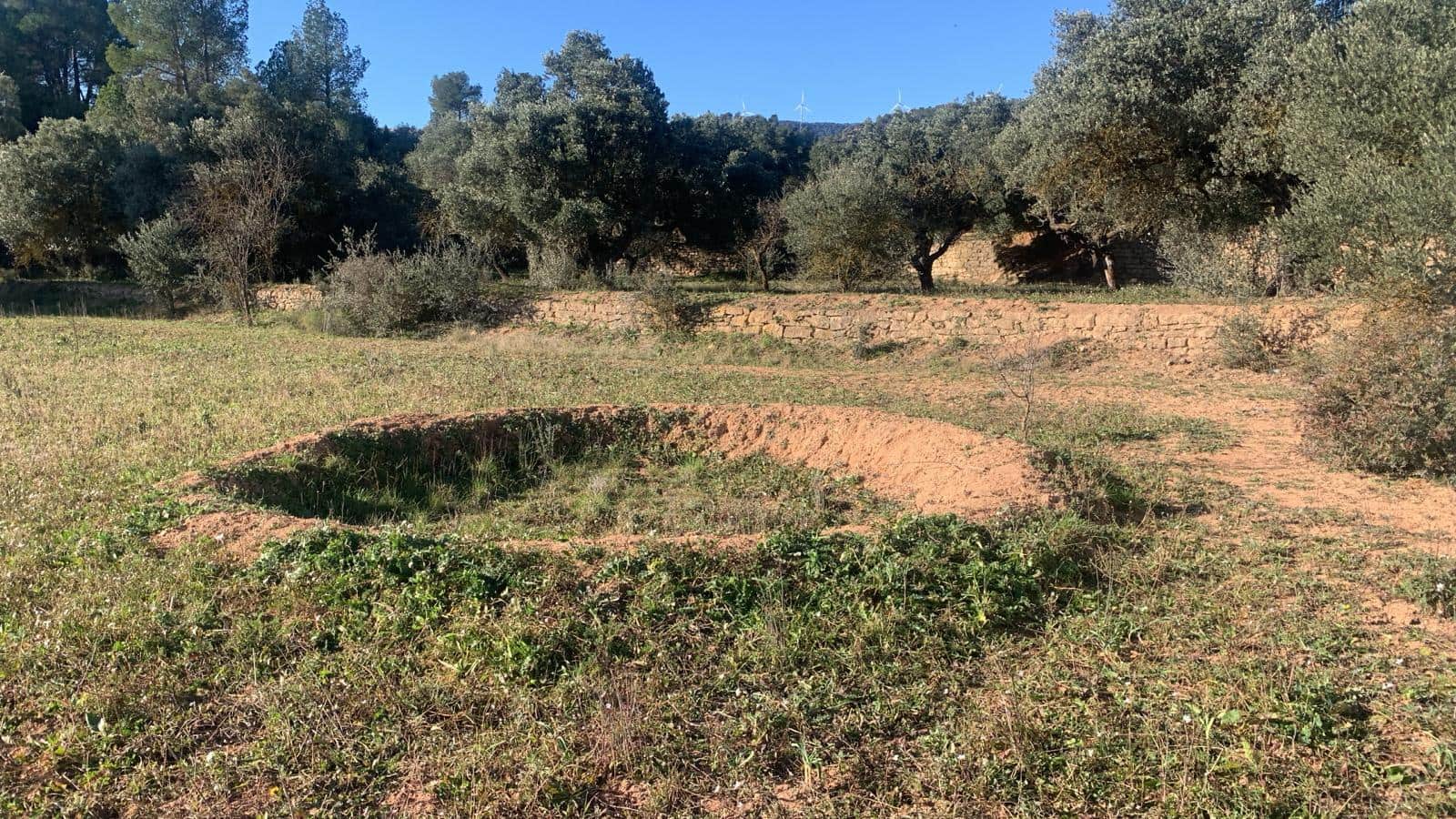 Grunde uden byggetilladelser til salg i Asco - € 25.000 (Ref: 8743853)