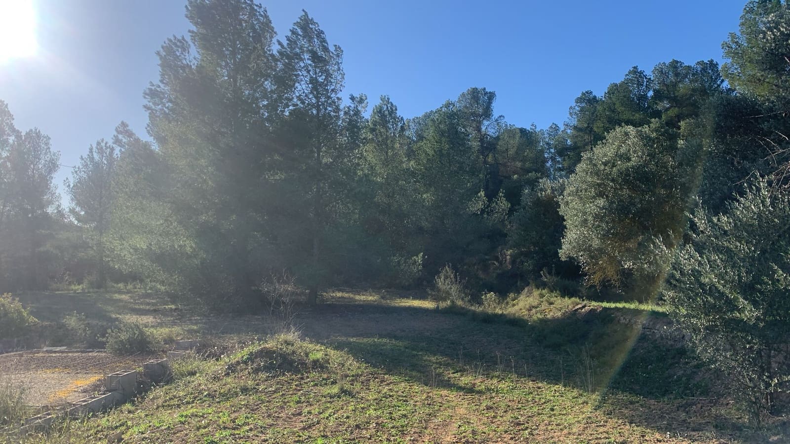 Grunde uden byggetilladelser til salg i Asco - € 25.000 (Ref: 8743853)