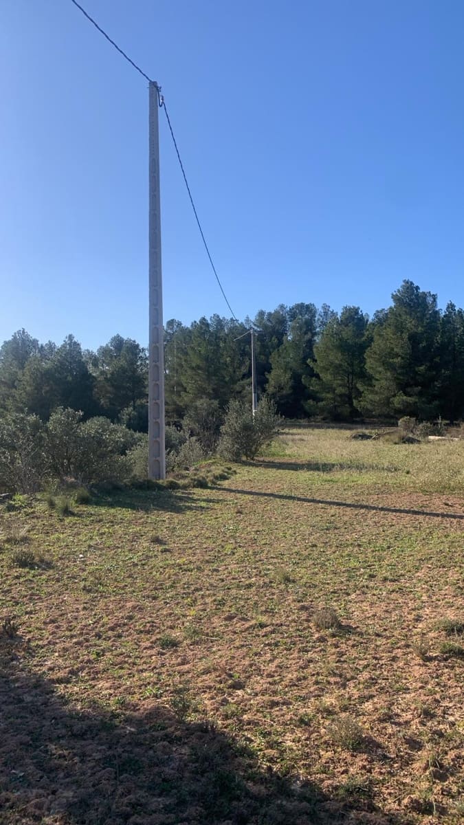 Undeveloped Land for sale in Asco - € 15,000 (Ref: 8743853)
