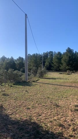 Ubebygd land til salgs i Ascó - € 15 000 (Ref: 8743853)