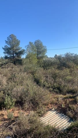 Ubebygd land til salgs i Ascó - € 15 000 (Ref: 8743853)