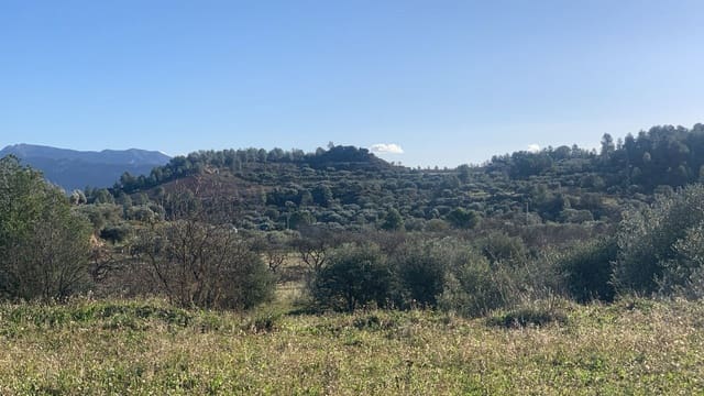 Ubebygd land til salgs i Ascó - € 15 000 (Ref: 8743853)