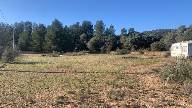 Ubebygd land til salgs i Ascó - € 15 000 (Ref: 8743853)