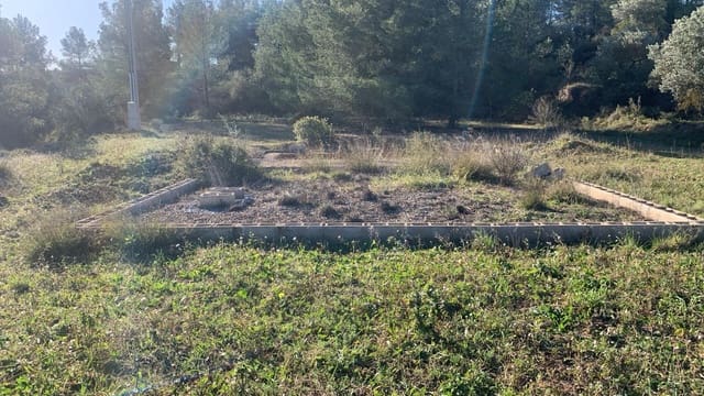 Ubebygd land til salgs i Ascó - € 15 000 (Ref: 8743853)