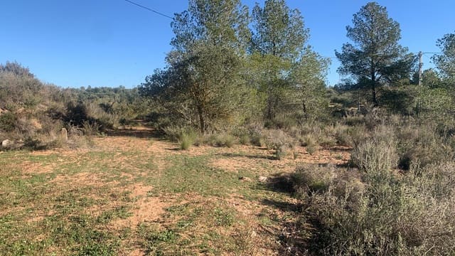 Ubebygd land til salgs i Ascó - € 15 000 (Ref: 8743853)