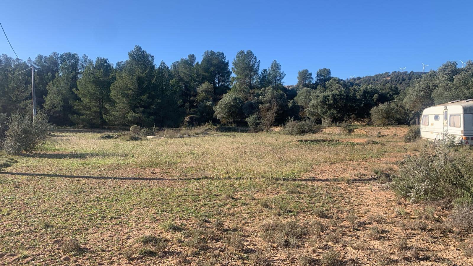 Undeveloped Land for sale in Asco - € 15,000 (Ref: 8743853)