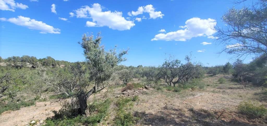 3 soverom Finca/Herregård til salgs i L'Ametlla de Mar med svømmebasseng garasje - € 410 000 (Ref: 8823575)