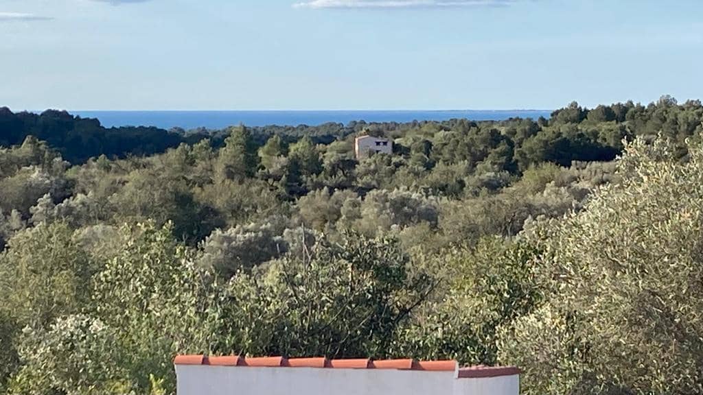 3 soverom Finca/Herregård til salgs i L'Ametlla de Mar med svømmebasseng garasje - € 410 000 (Ref: 8823575)