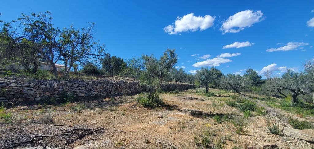 3 soverom Finca/Herregård til salgs i L'Ametlla de Mar med svømmebasseng garasje - € 410 000 (Ref: 8823575)