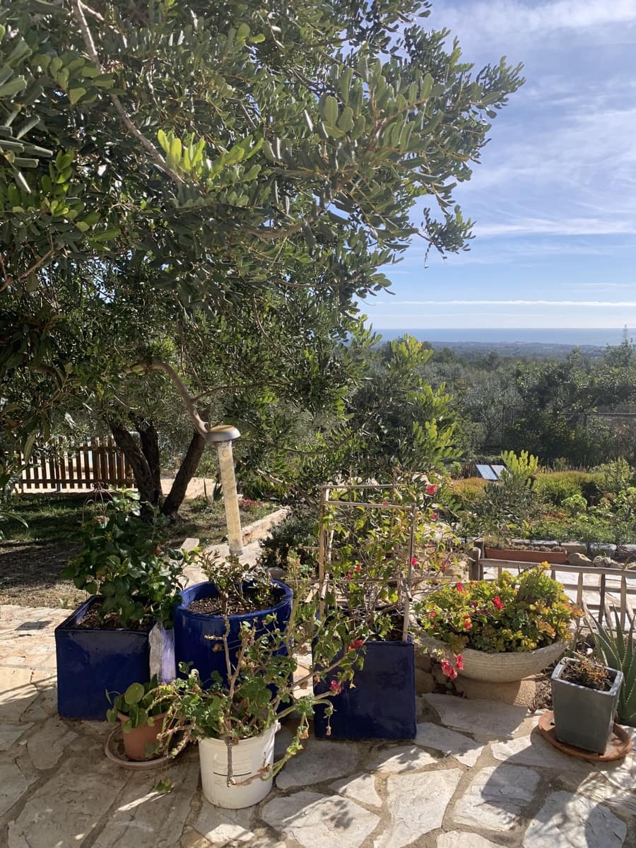 2 soveværelse Finca/Landehus til salg i El Perello med swimmingpool - € 339.000 (Ref: 8828130)