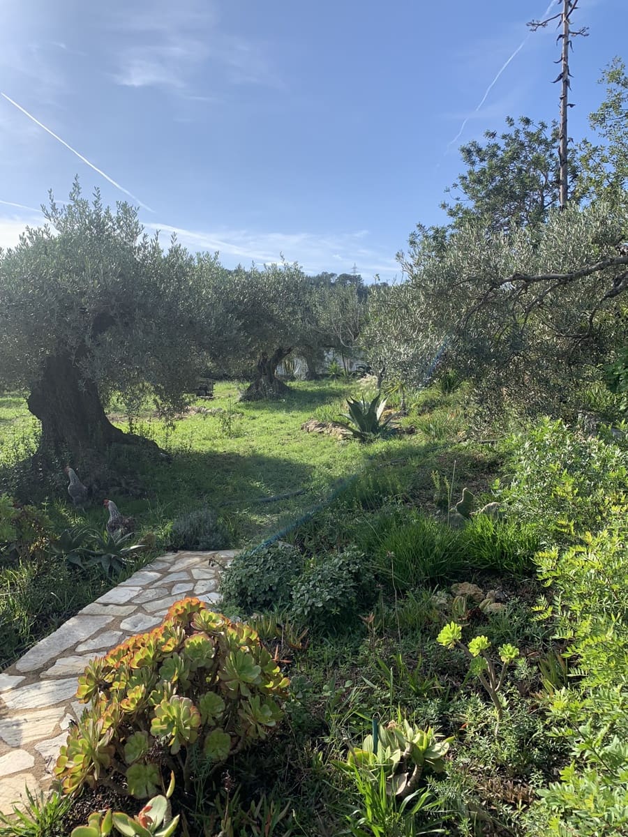 2 soveværelse Finca/Landehus til salg i El Perello med swimmingpool - € 339.000 (Ref: 8828130)