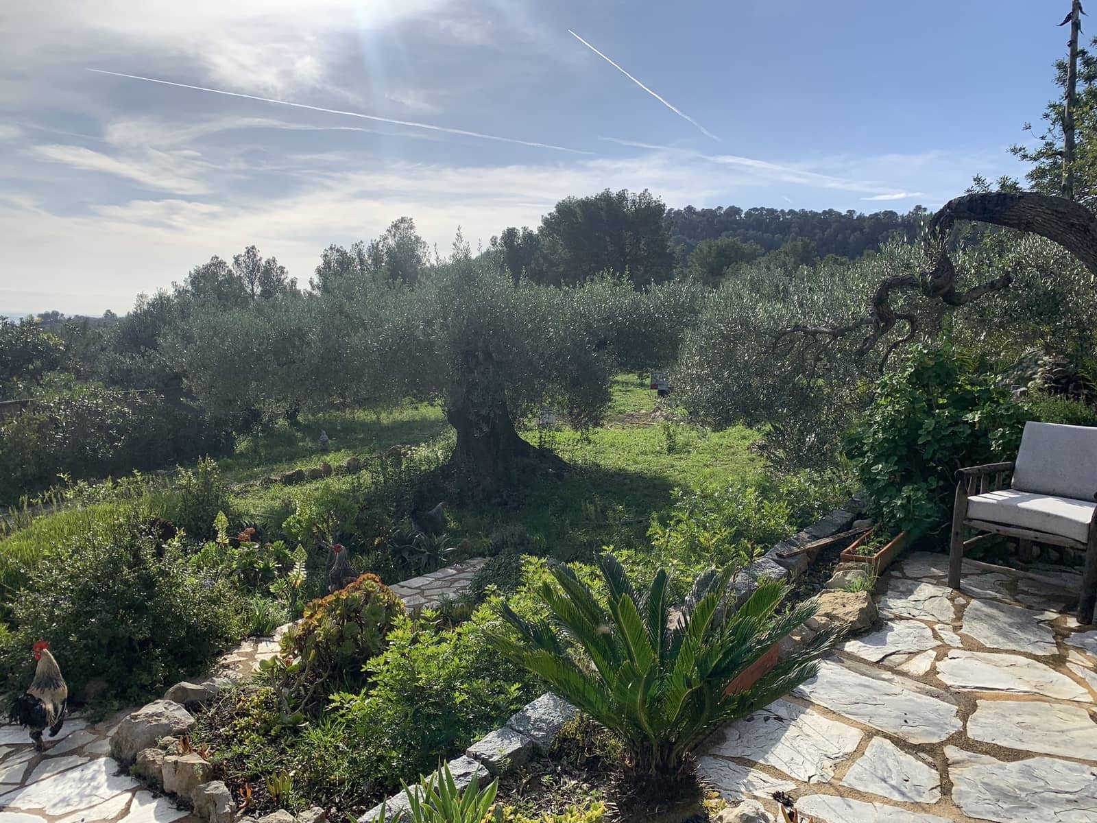 2 soveværelse Finca/Landehus til salg i El Perello med swimmingpool - € 339.000 (Ref: 8828130)