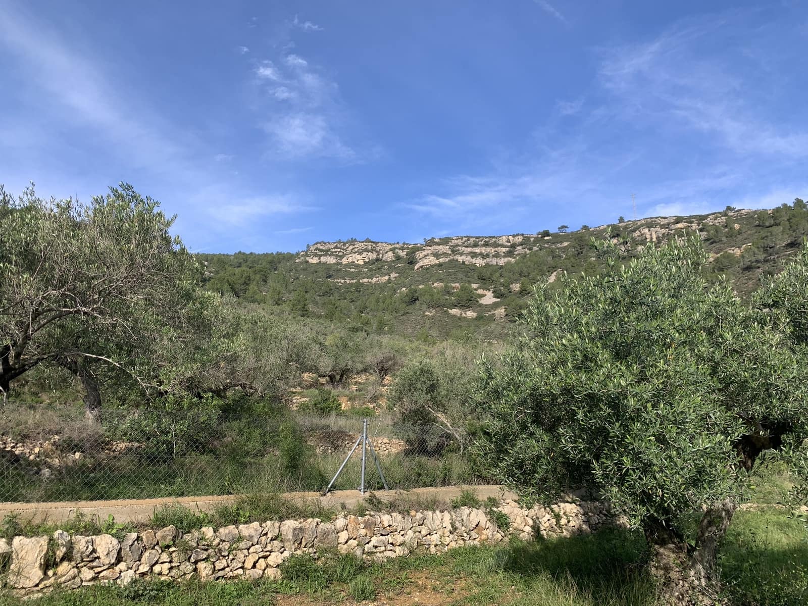 2 soveværelse Finca/Landehus til salg i El Perello med swimmingpool - € 339.000 (Ref: 8828130)