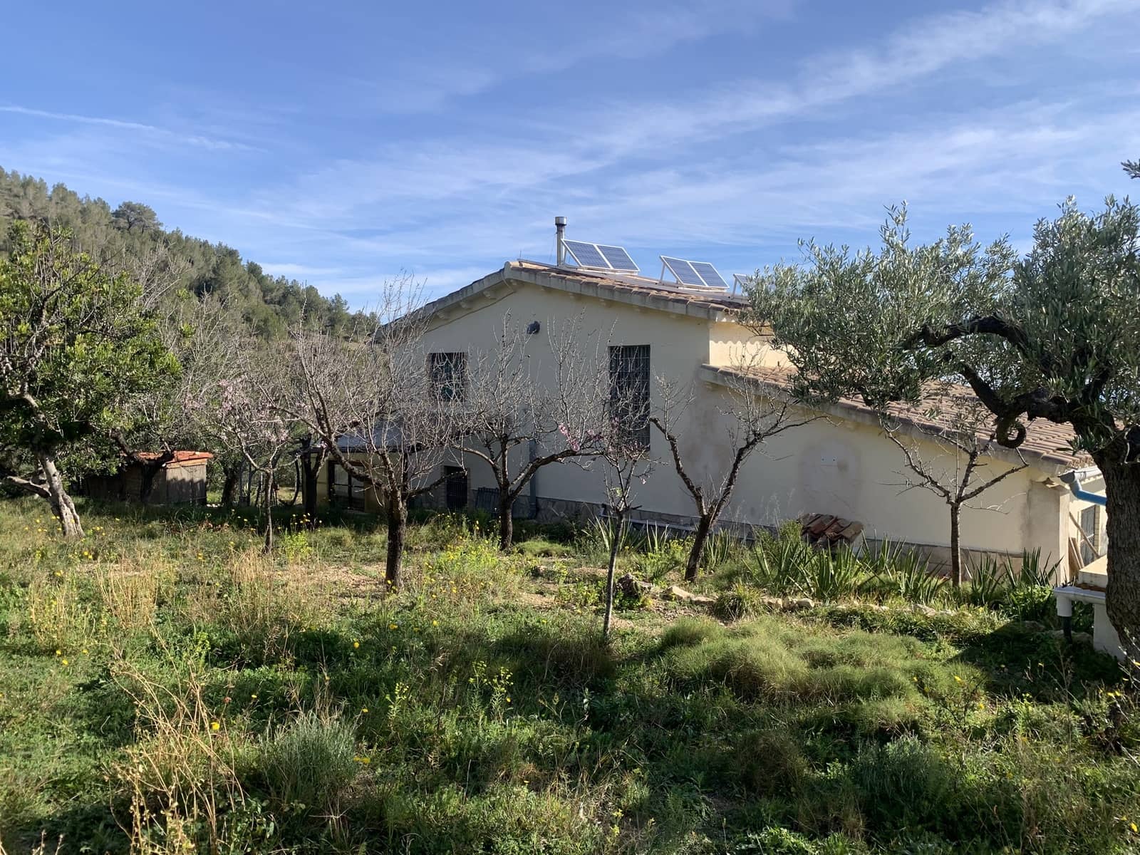 2 soveværelse Finca/Landehus til salg i El Perello med swimmingpool - € 339.000 (Ref: 8828130)