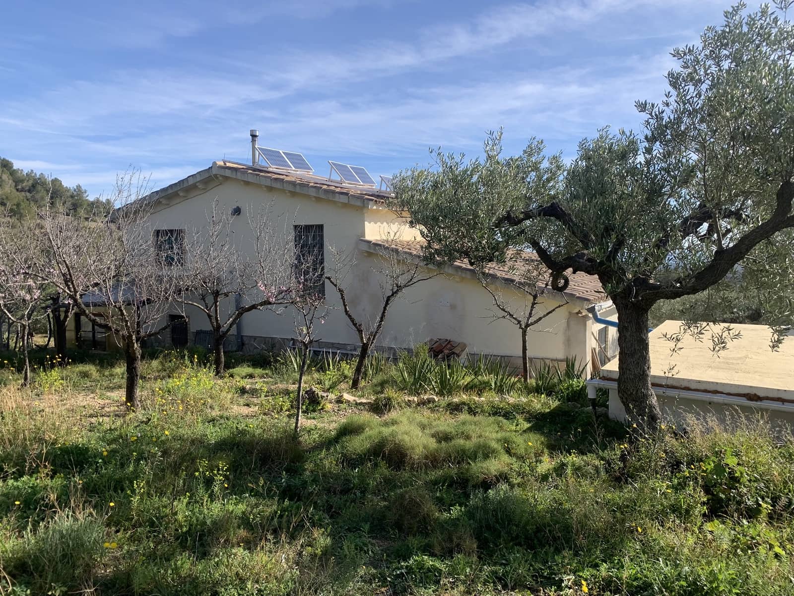 2 soveværelse Finca/Landehus til salg i El Perello med swimmingpool - € 339.000 (Ref: 8828130)
