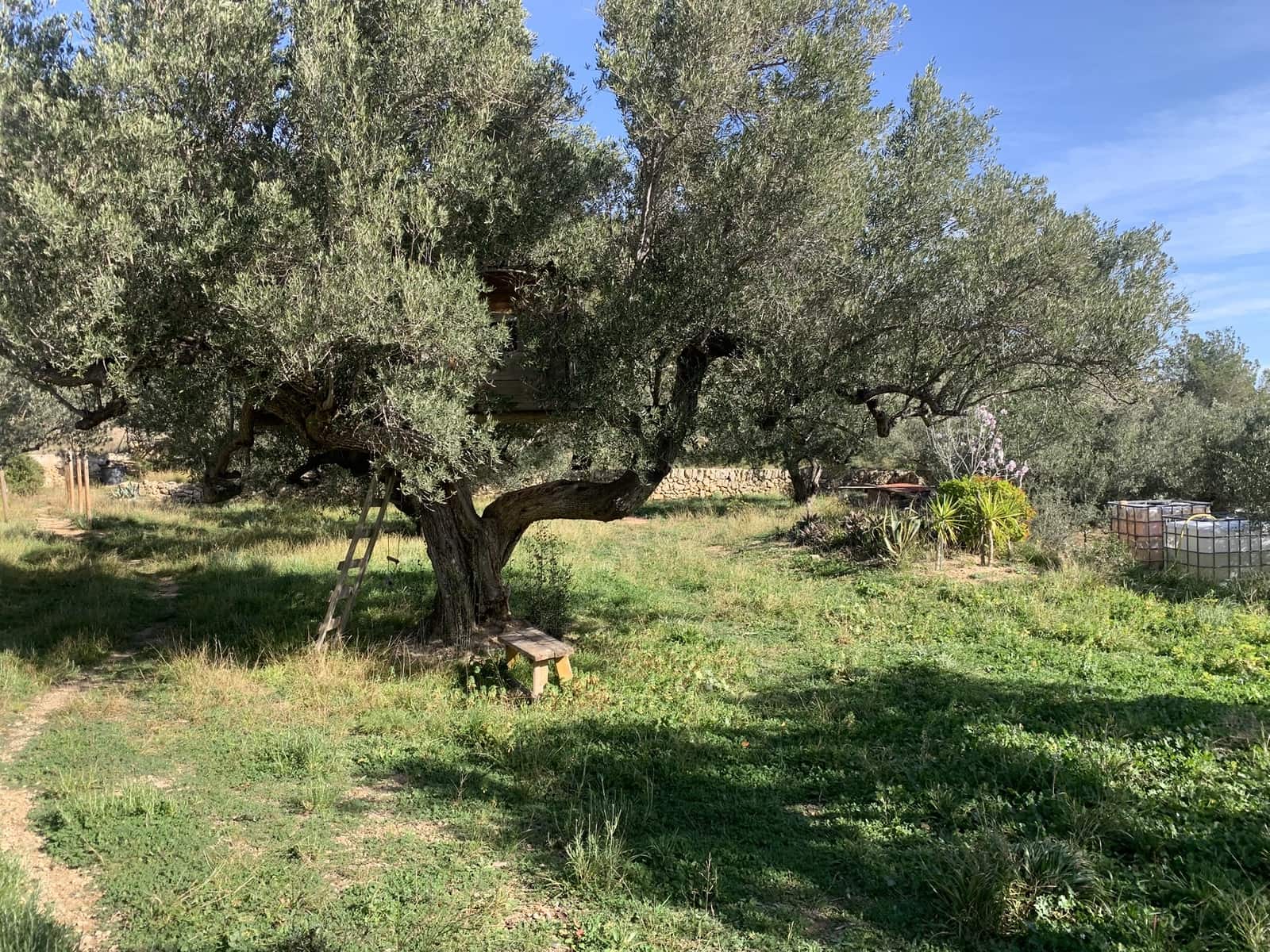 2 soveværelse Finca/Landehus til salg i El Perello med swimmingpool - € 339.000 (Ref: 8828130)