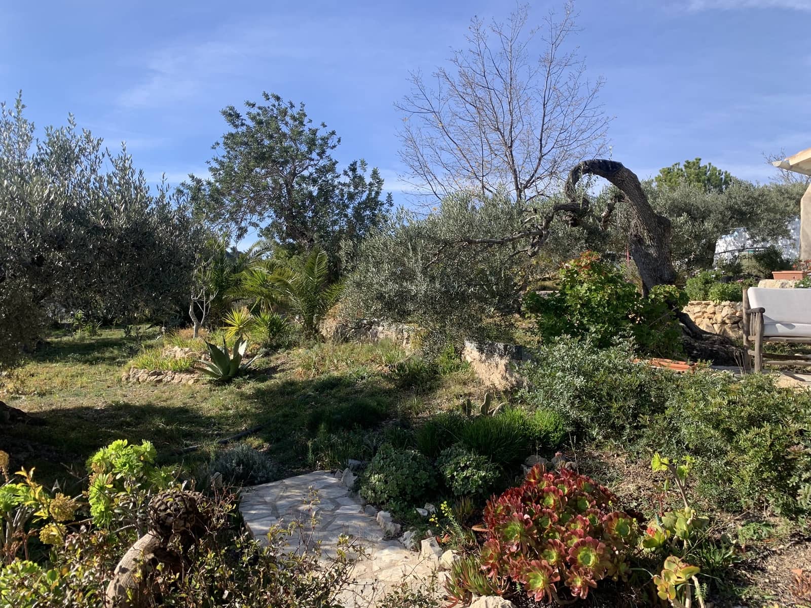 2 soveværelse Finca/Landehus til salg i El Perello med swimmingpool - € 339.000 (Ref: 8828130)