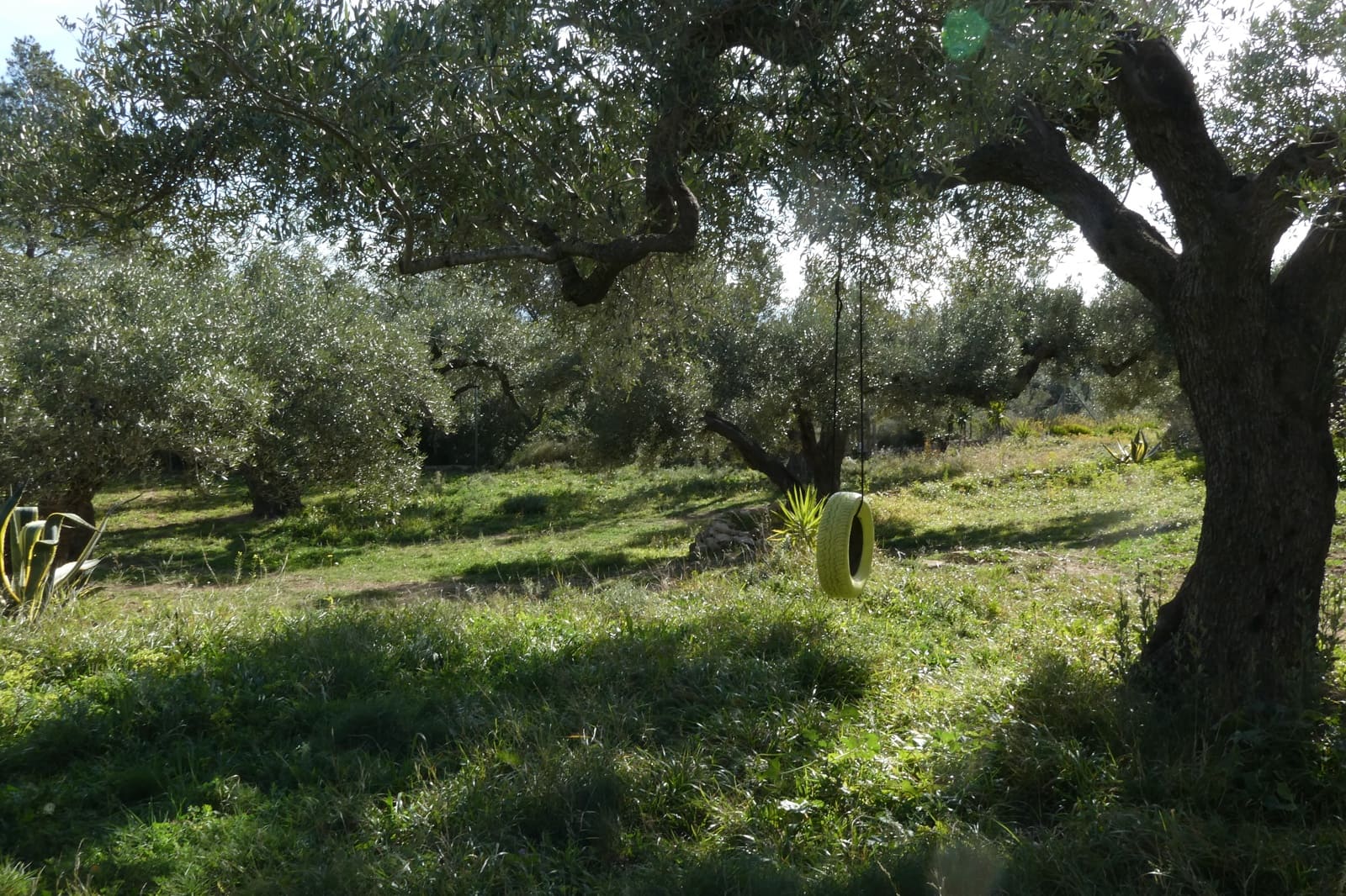 2 soveværelse Finca/Landehus til salg i El Perello med swimmingpool - € 339.000 (Ref: 8828130)