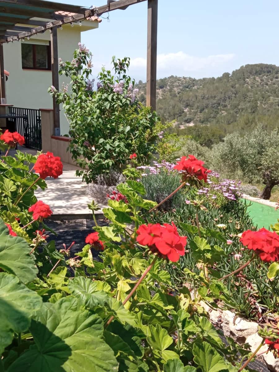 3 soveværelse Finca/Landehus til salg i Tortosa med garage - € 299.500 (Ref: 8886891)