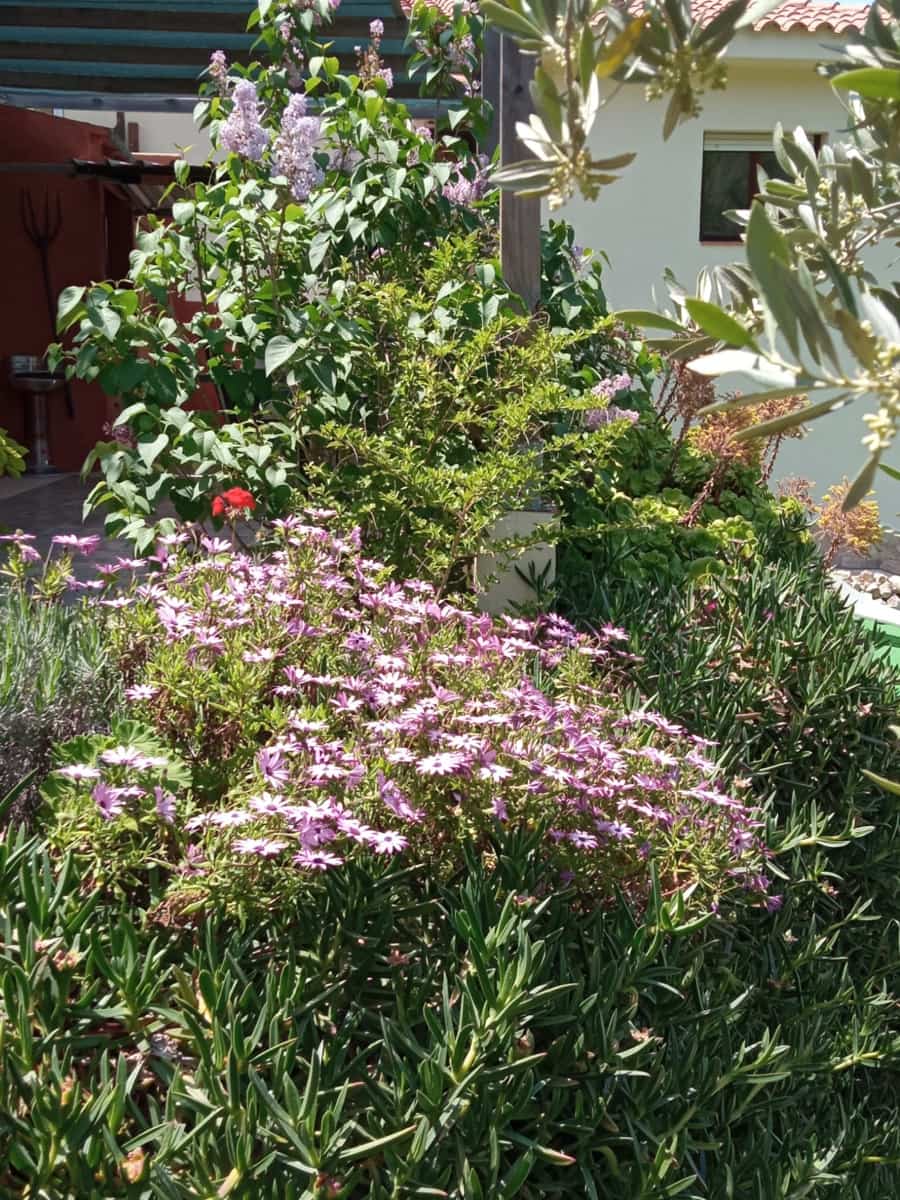 3 soveværelse Finca/Landehus til salg i Tortosa med garage - € 299.500 (Ref: 8886891)