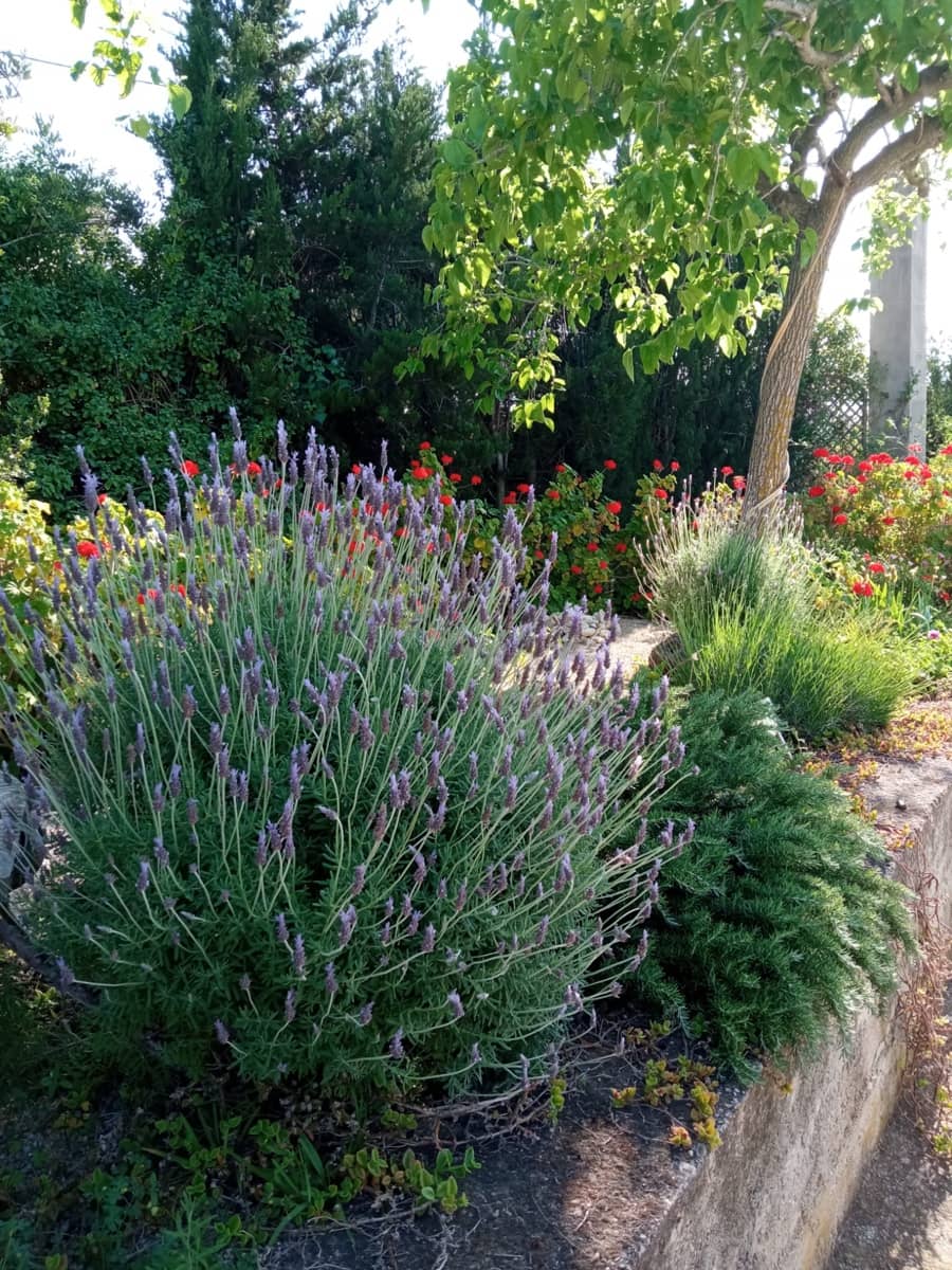 3 soveværelse Finca/Landehus til salg i Tortosa med garage - € 299.500 (Ref: 8886891)