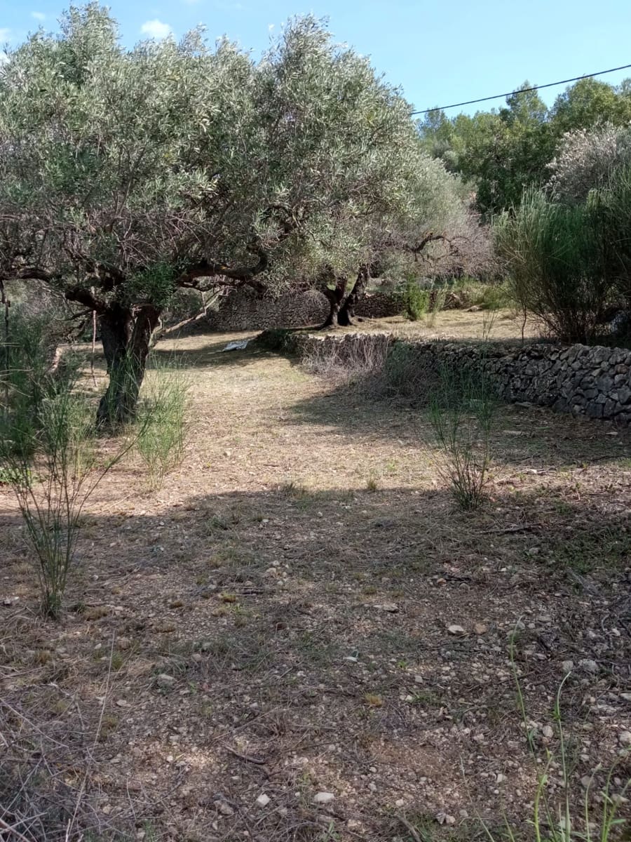 3 soveværelse Finca/Landehus til salg i Tortosa med garage - € 299.500 (Ref: 8886891)