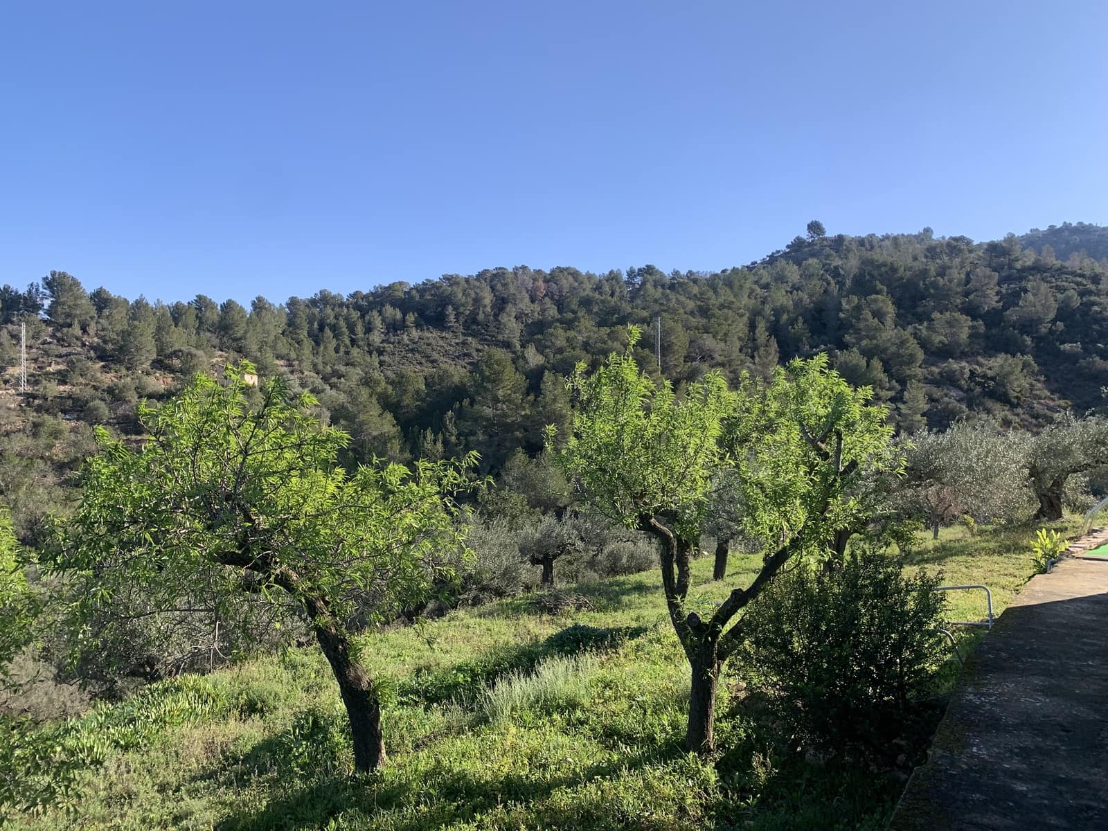 3 soveværelse Finca/Landehus til salg i Tortosa med garage - € 299.500 (Ref: 8886891)