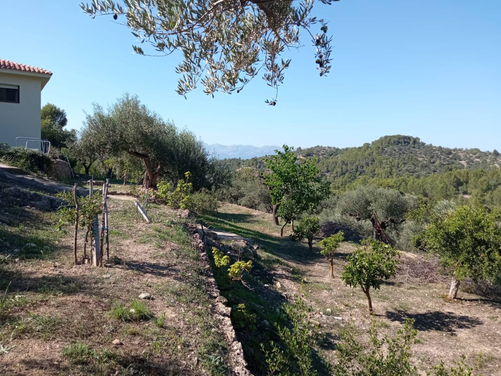 3 soveværelse Finca/Landehus til salg i Tortosa med garage - € 299.500 (Ref: 8886891)