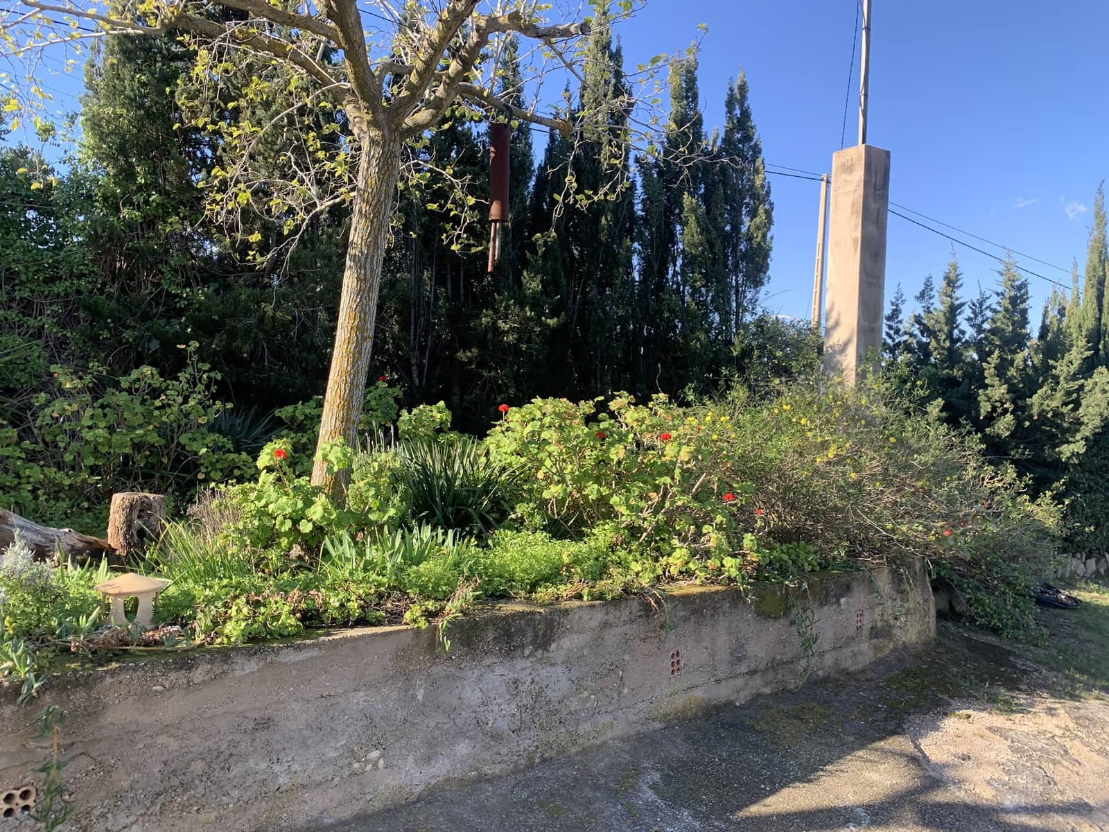 3 soveværelse Finca/Landehus til salg i Tortosa med garage - € 299.500 (Ref: 8886891)