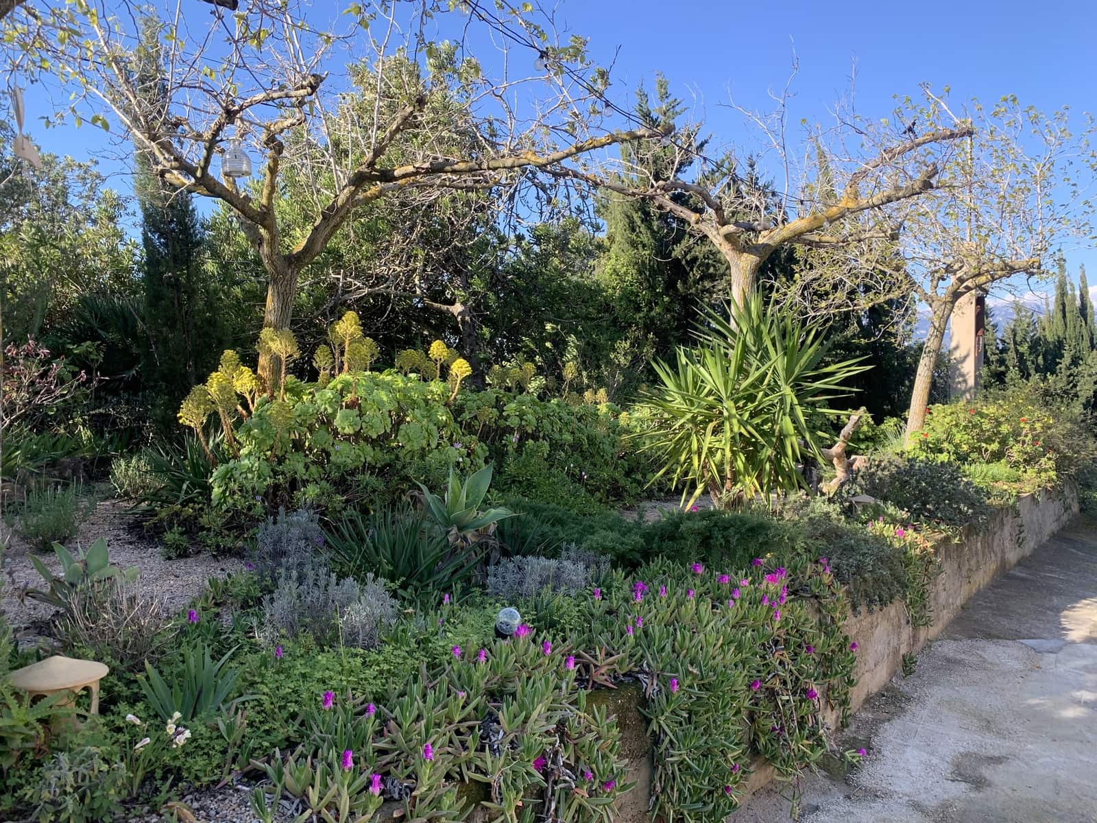 3 soveværelse Finca/Landehus til salg i Tortosa med garage - € 299.500 (Ref: 8886891)