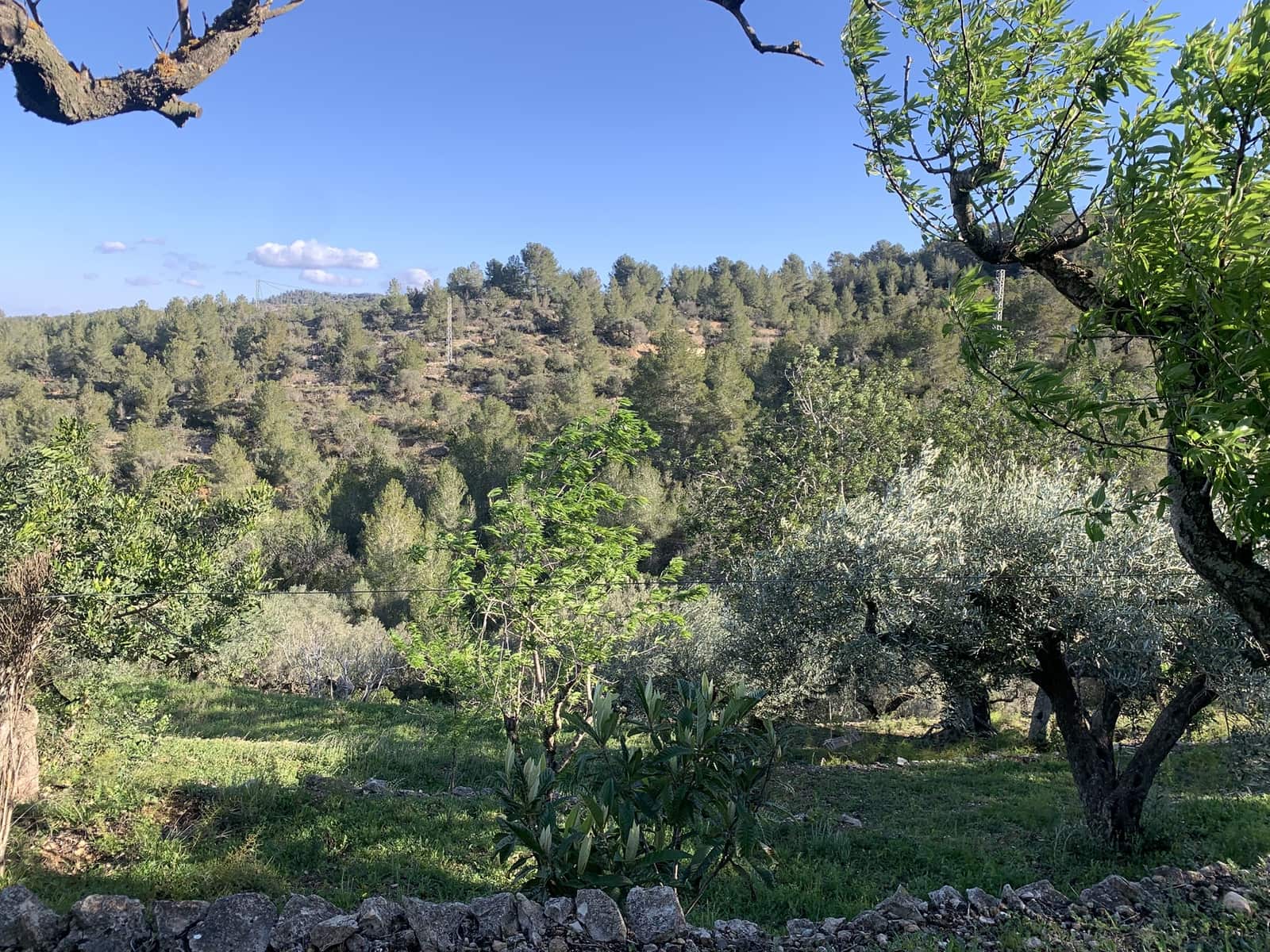 3 soveværelse Finca/Landehus til salg i Tortosa med garage - € 299.500 (Ref: 8886891)