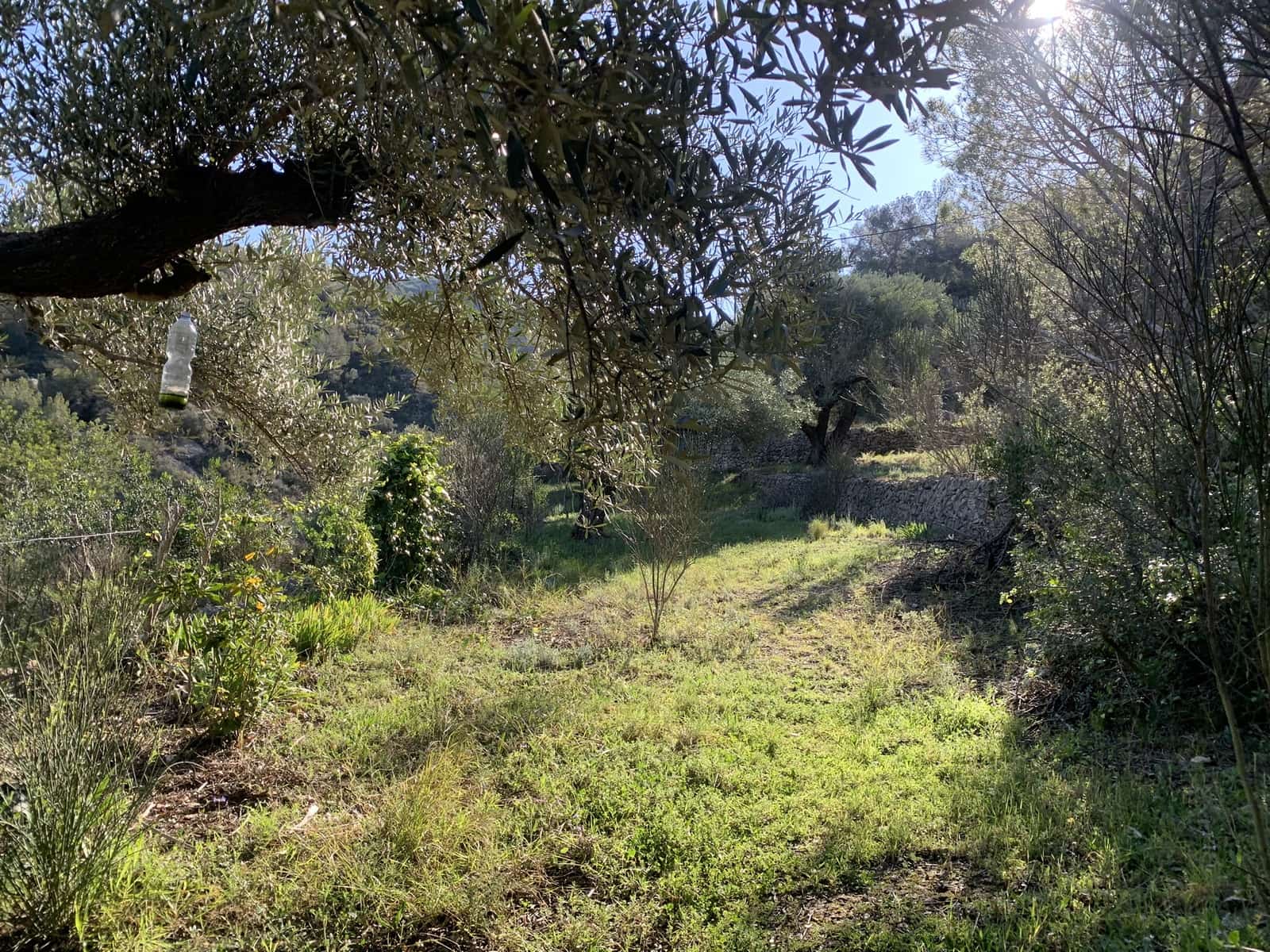 3 soveværelse Finca/Landehus til salg i Tortosa med garage - € 299.500 (Ref: 8886891)