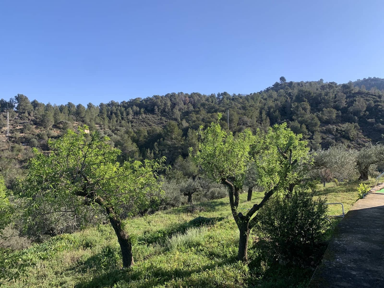 3 soveværelse Finca/Landehus til salg i Tortosa med garage - € 299.500 (Ref: 8886891)