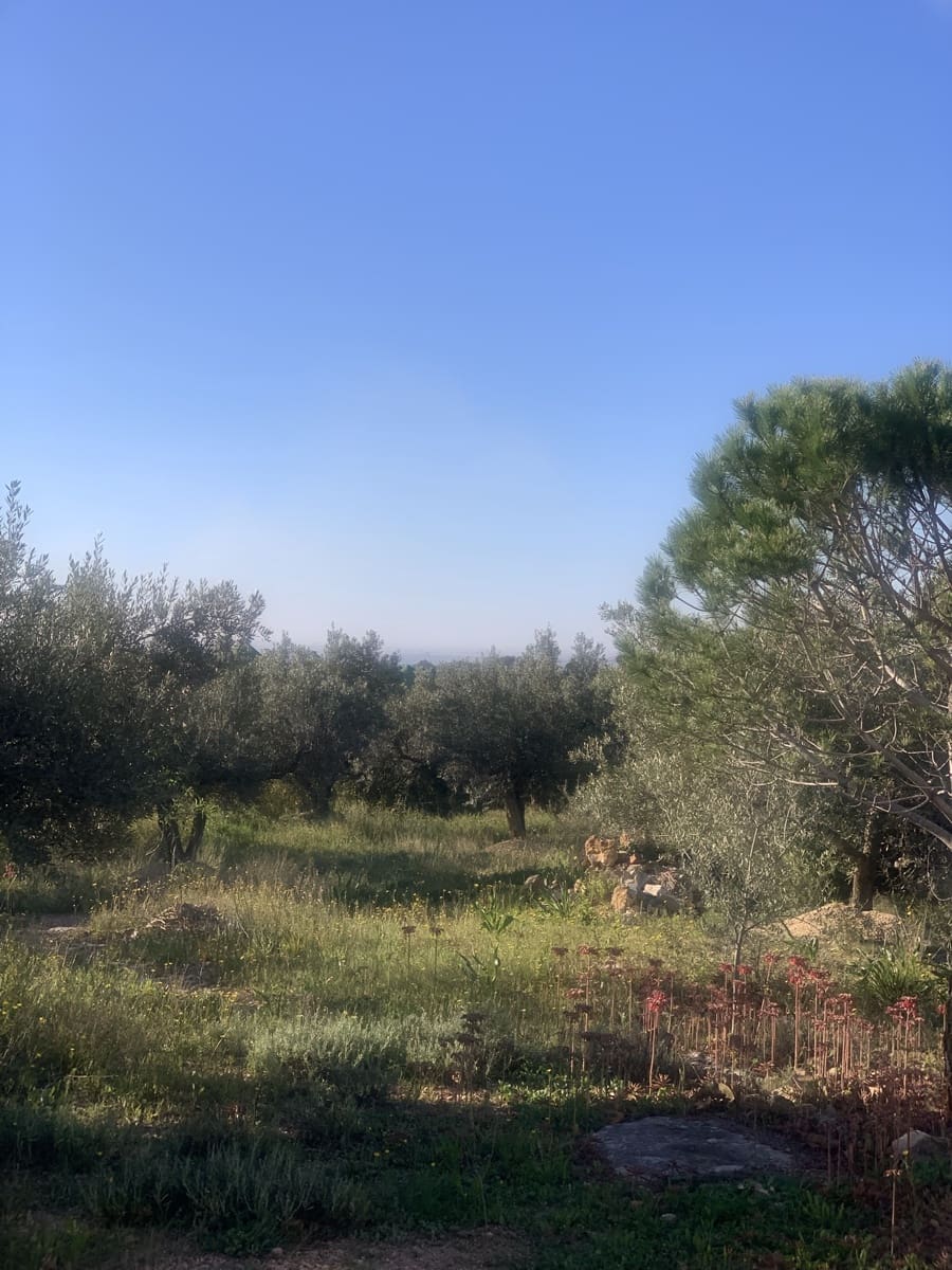 2 bedroom Finca/Country House for sale in Camarles with garage - € 145,000 (Ref: 8915824)