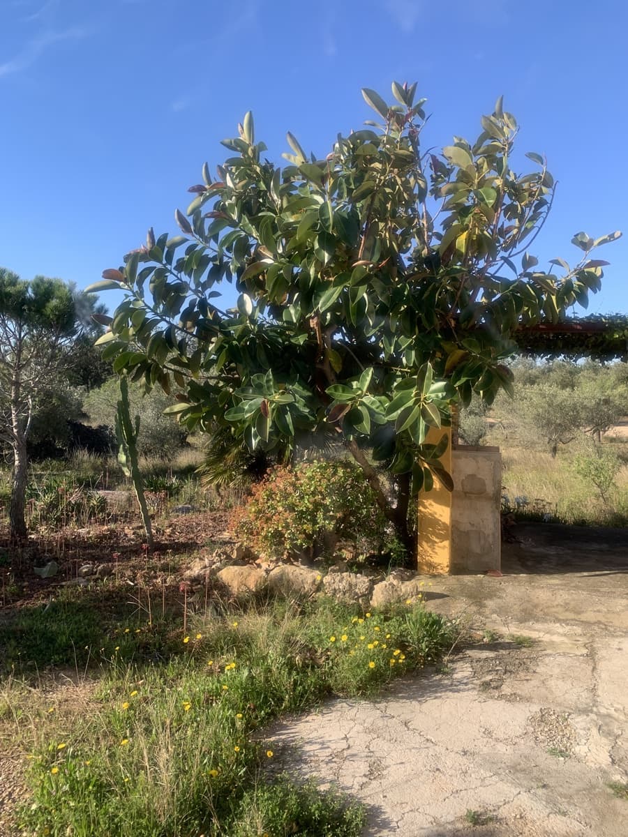 2 bedroom Finca/Country House for sale in Camarles with garage - € 145,000 (Ref: 8915824)