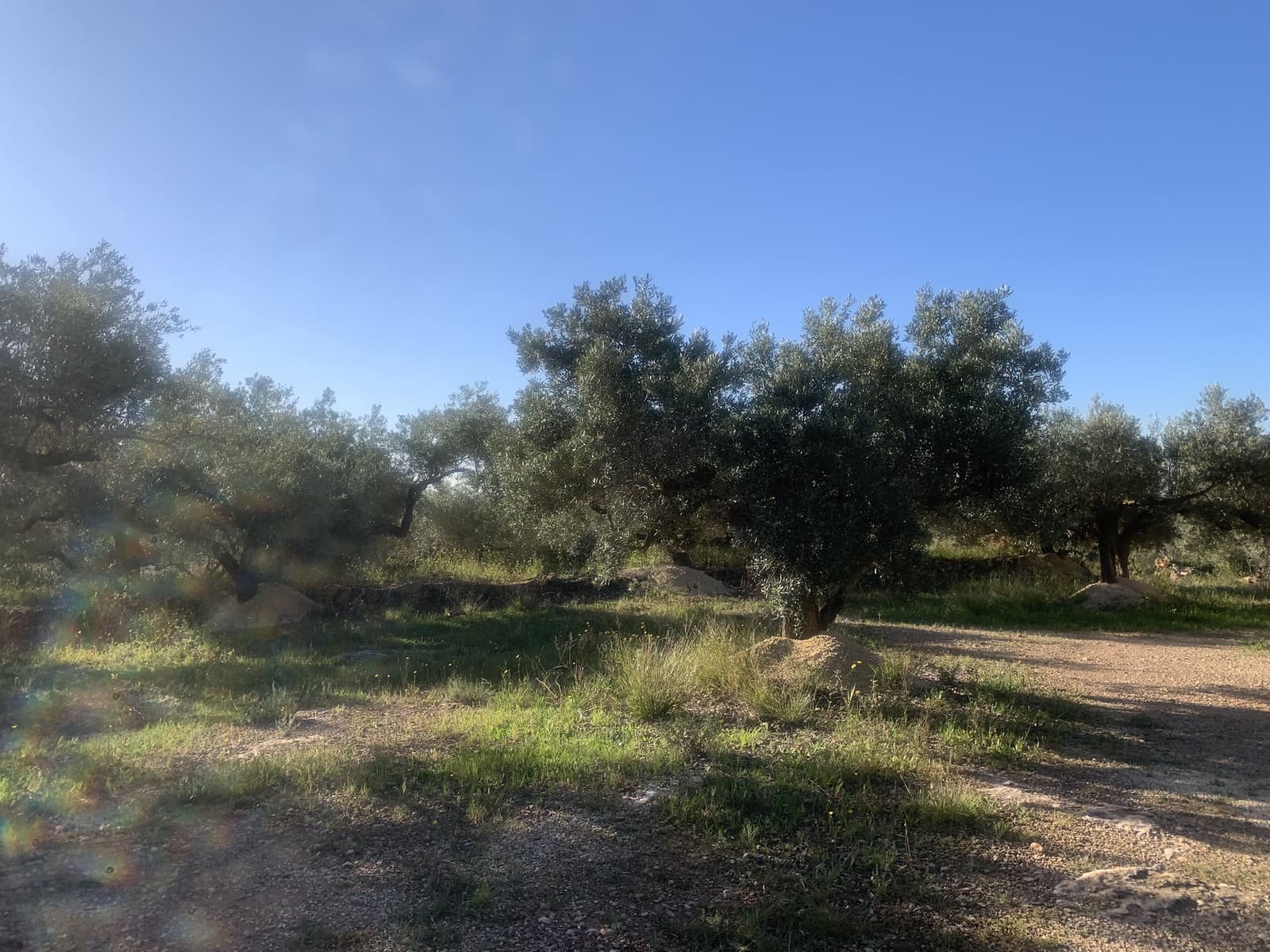 2 bedroom Finca/Country House for sale in Camarles with garage - € 145,000 (Ref: 8915824)