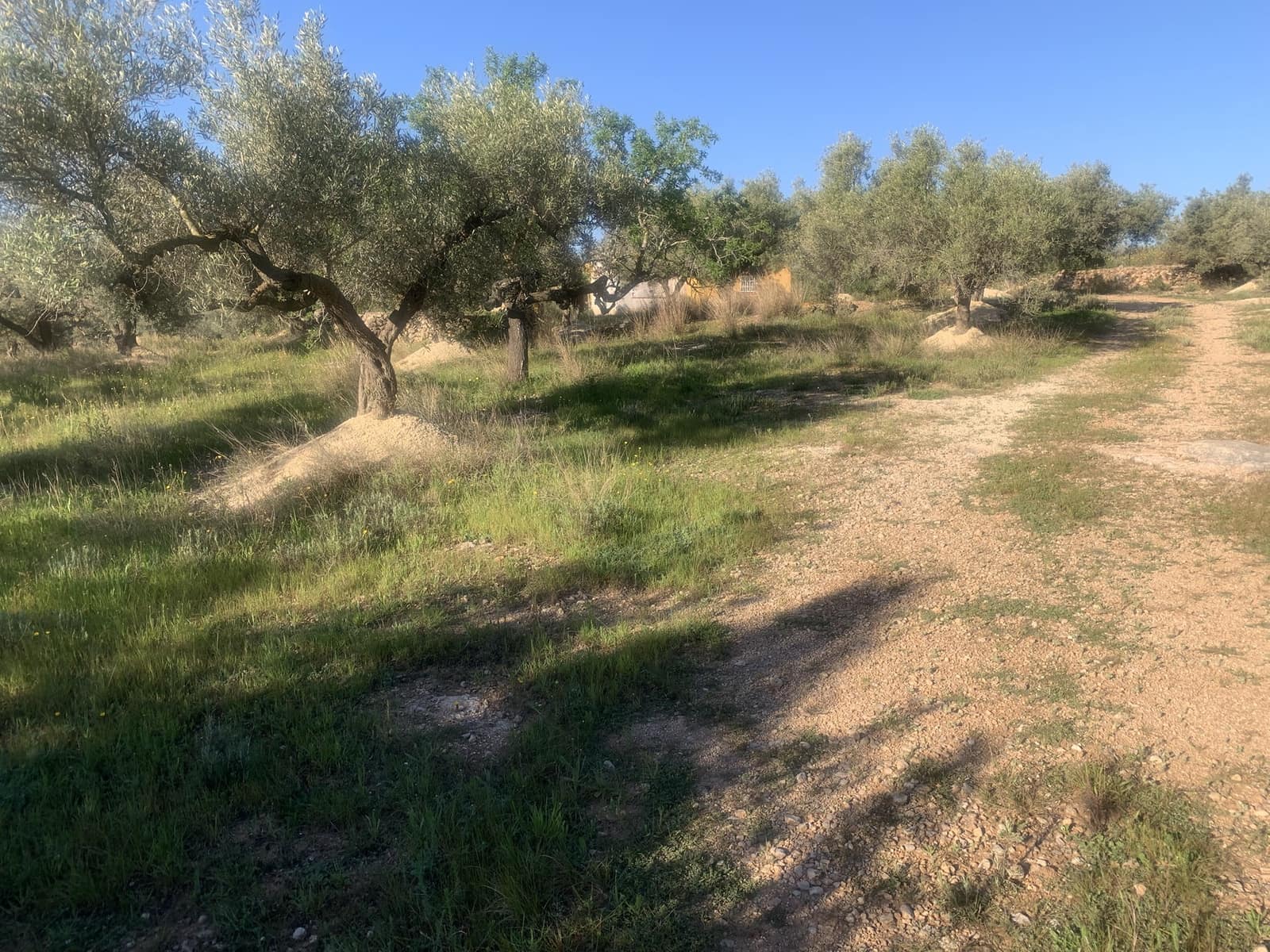 2 bedroom Finca/Country House for sale in Camarles with garage - € 145,000 (Ref: 8915824)