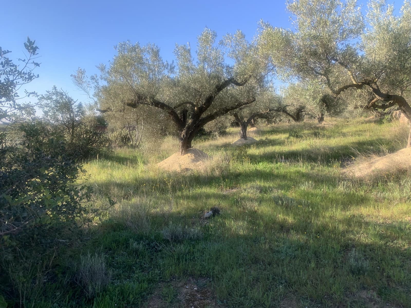 2 bedroom Finca/Country House for sale in Camarles with garage - € 145,000 (Ref: 8915824)