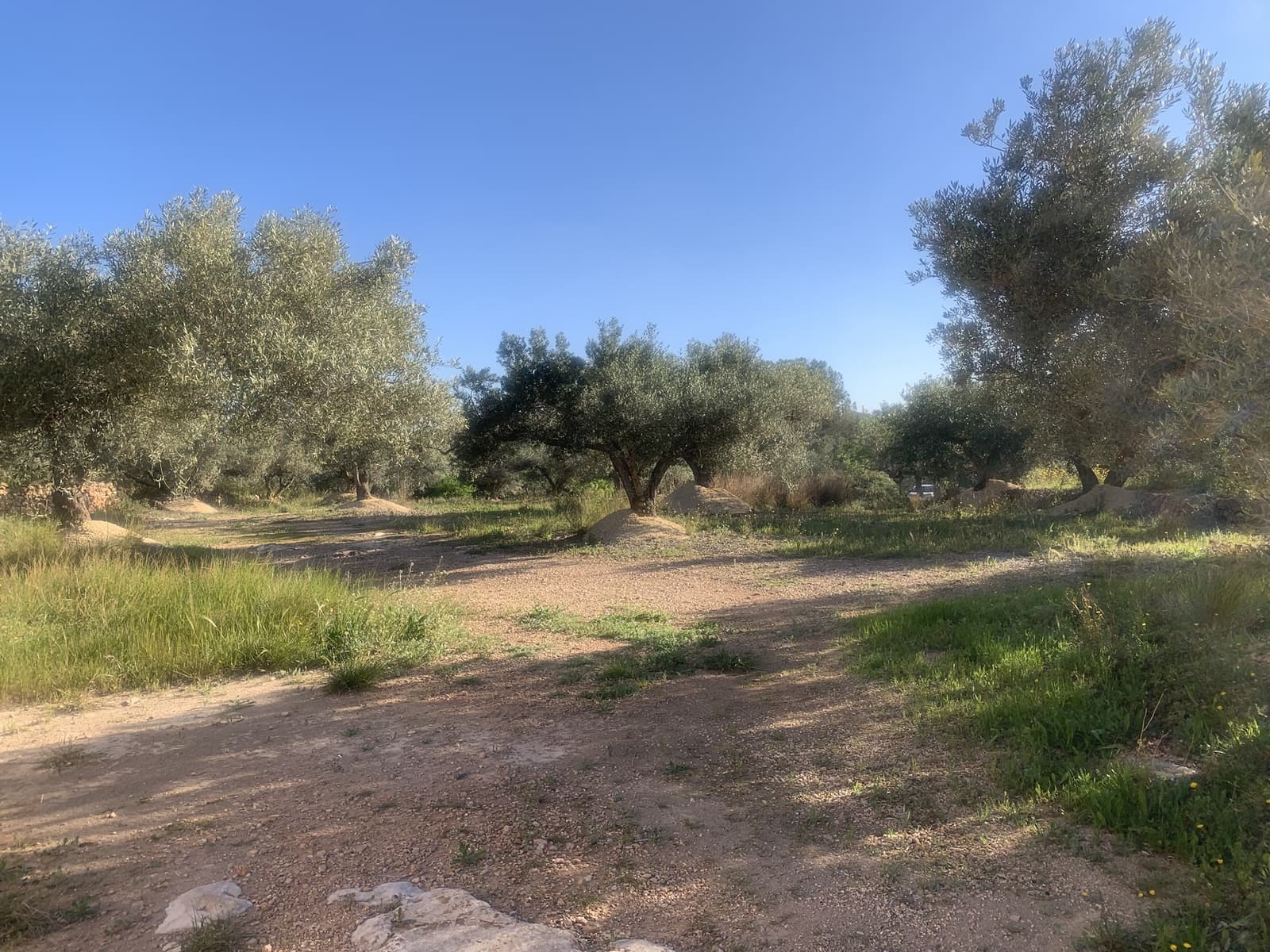 2 bedroom Finca/Country House for sale in Camarles with garage - € 145,000 (Ref: 8915824)