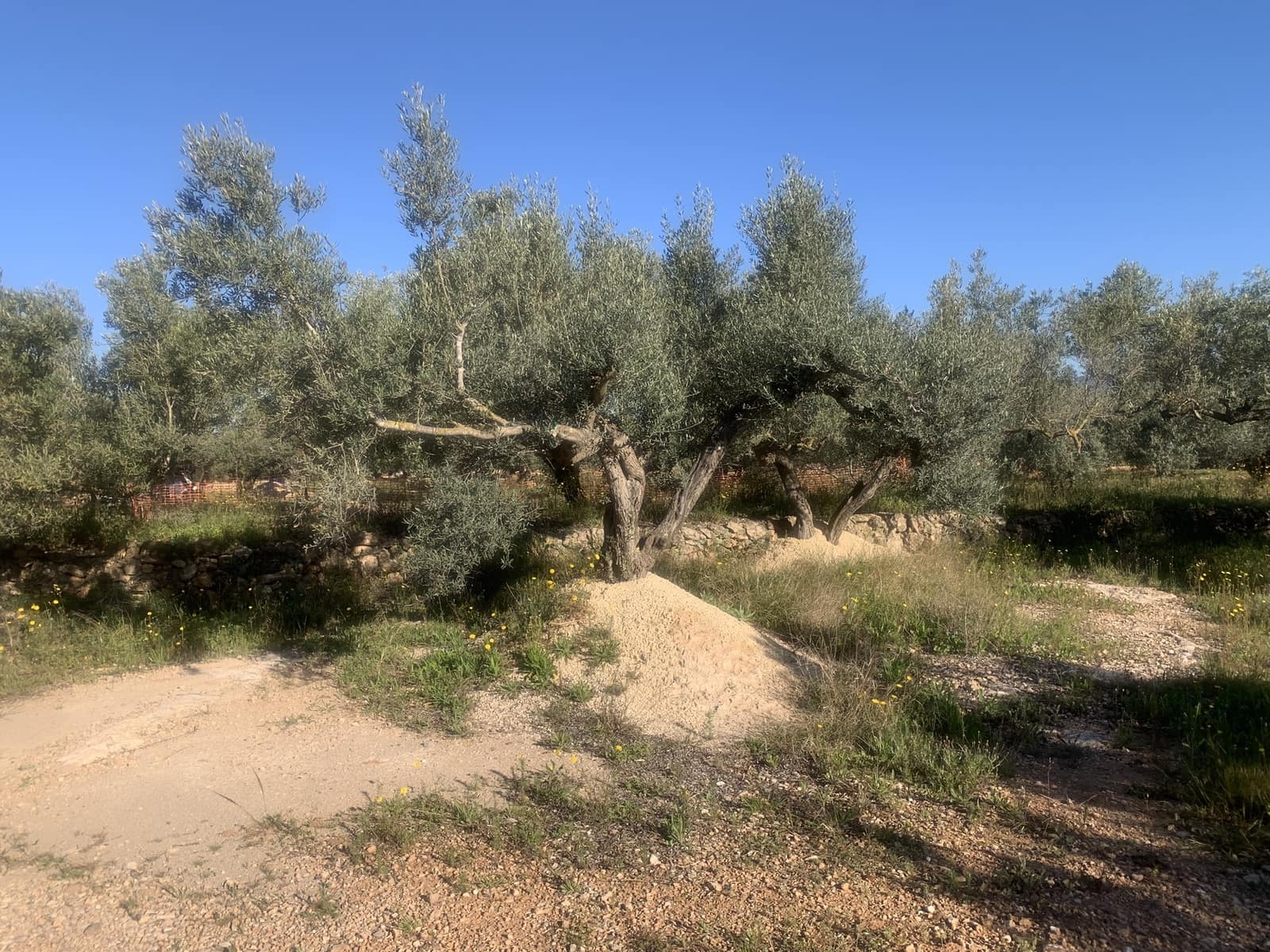 2 bedroom Finca/Country House for sale in Camarles with garage - € 145,000 (Ref: 8915824)