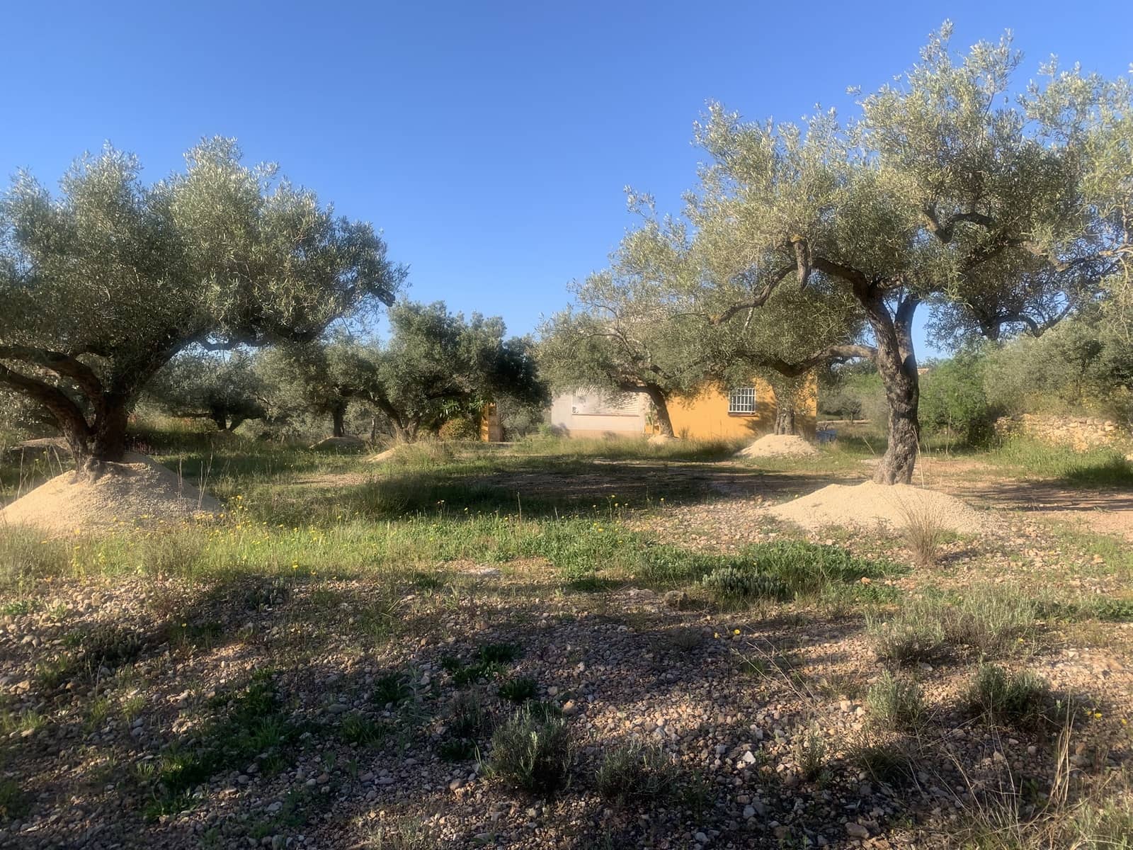 2 bedroom Finca/Country House for sale in Camarles with garage - € 145,000 (Ref: 8915824)