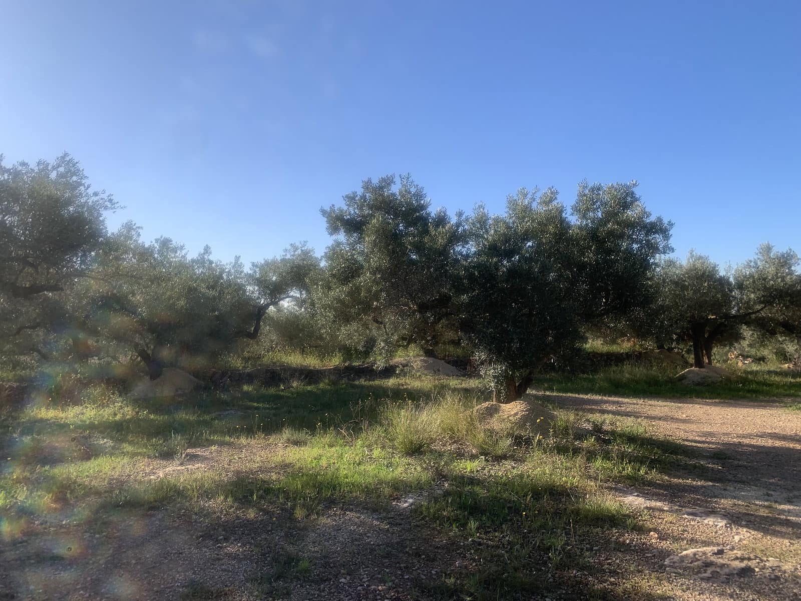 2 bedroom Finca/Country House for sale in Camarles with garage - € 145,000 (Ref: 8915824)