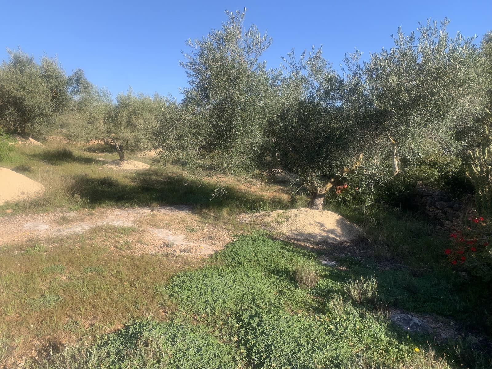 2 bedroom Finca/Country House for sale in Camarles with garage - € 145,000 (Ref: 8915824)