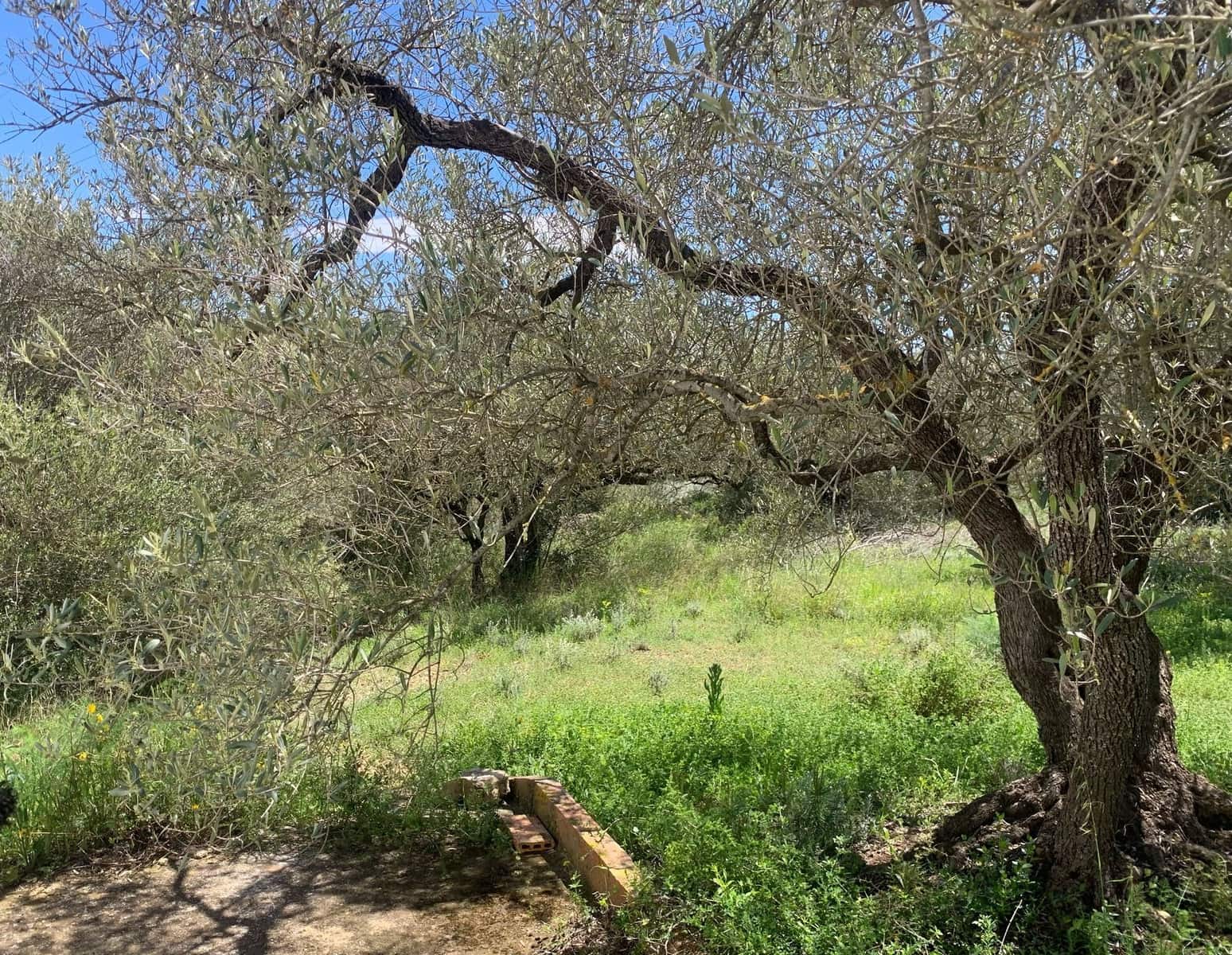 2 bedroom Finca/Country House for sale in El Perello - € 295,000 (Ref: 8977604)