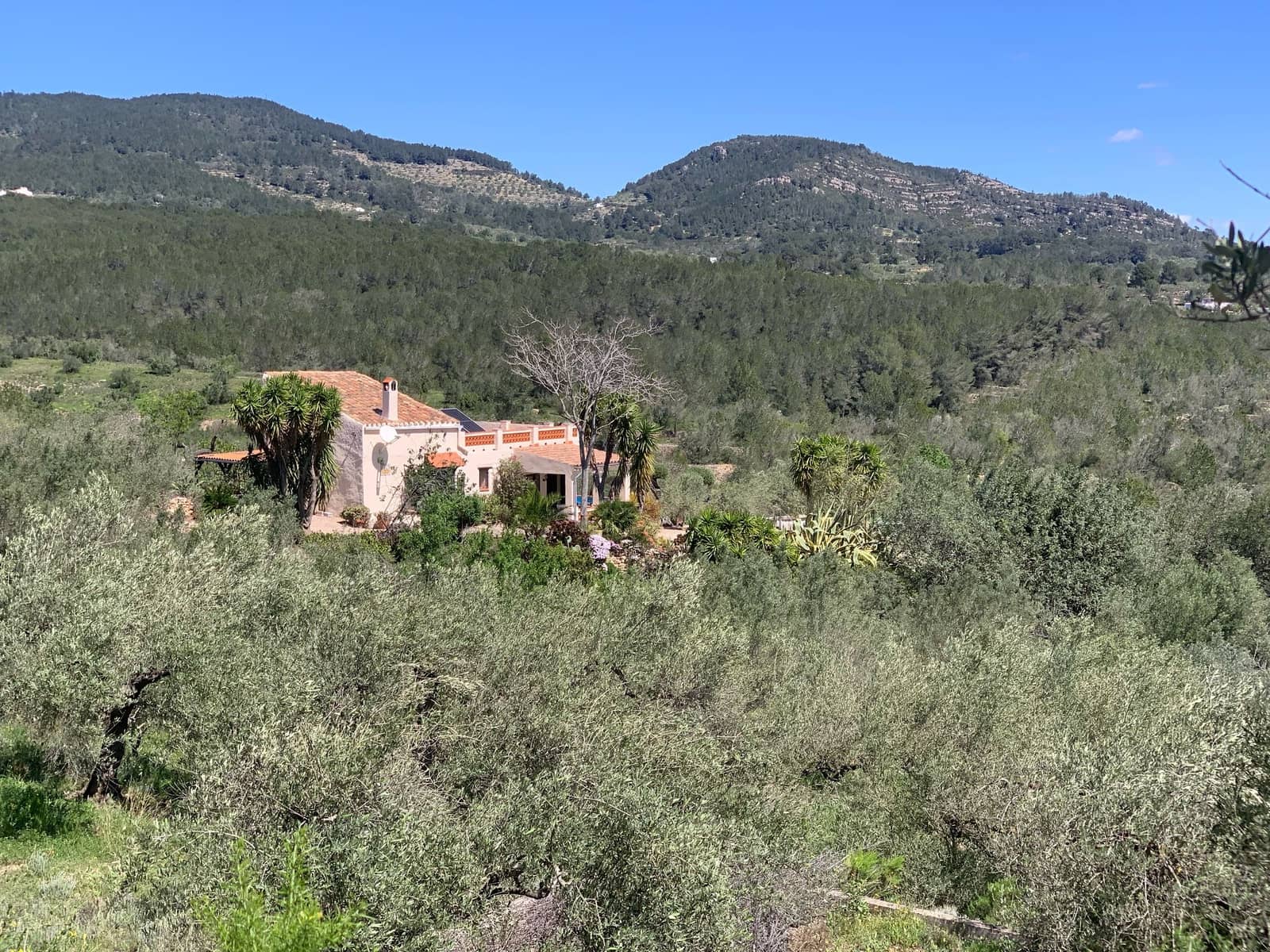2 bedroom Finca/Country House for sale in El Perello - € 295,000 (Ref: 8977604)