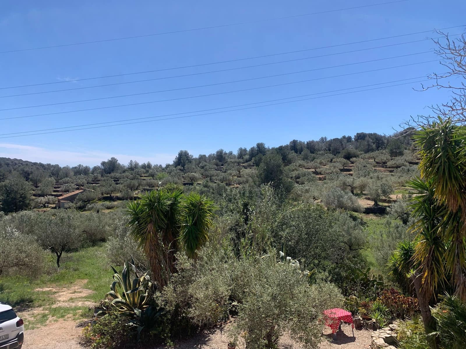2 soveværelse Finca/Landehus til salg i El Perello med swimmingpool garage - € 295.000 (Ref: 8977604)