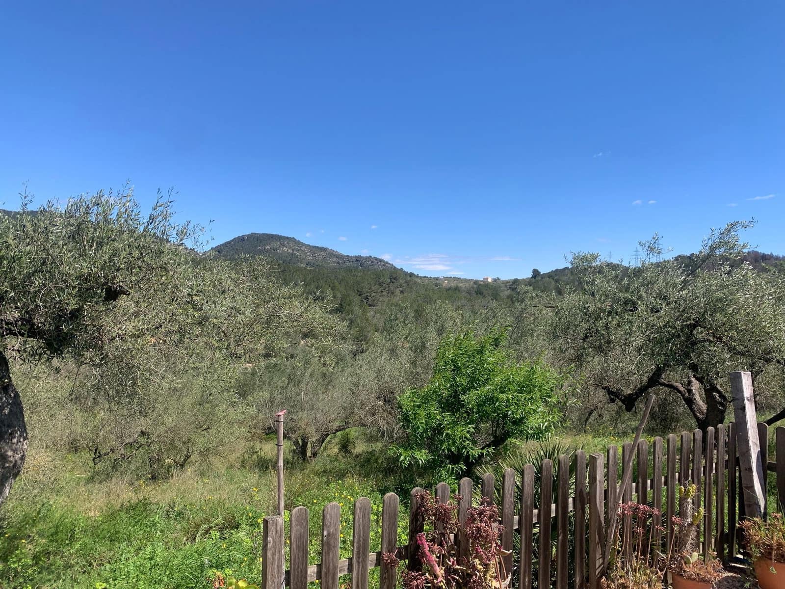2 soveværelse Finca/Landehus til salg i El Perello med swimmingpool garage - € 295.000 (Ref: 8977604)